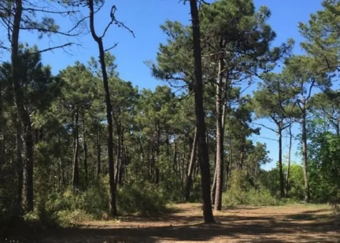 Mobil-home 4 Pers. Avec Terrasse A Notre-dame-de-monts - Api-1-52-946 *